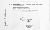 Image Associated With the Occurence